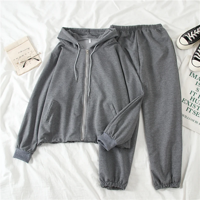 

spring Tracksuit Long Sleeve Thicken Hooded Sweatshirts 2 Piece Set Casual Sport Suit Women Tracksuit Set 2020