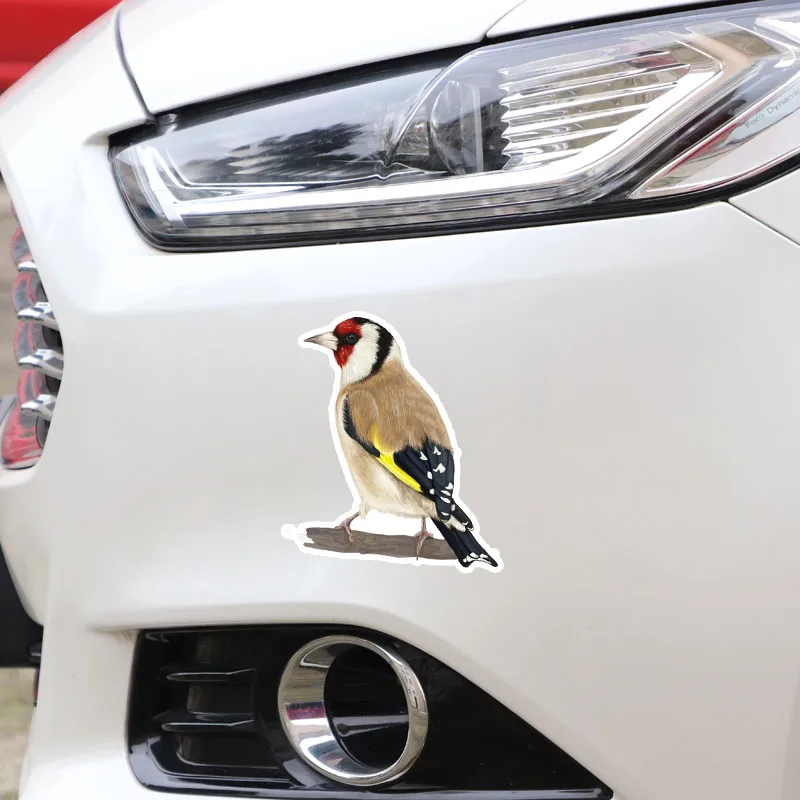 Aliauto креативные автомобильные Стикеры милый Декор птиц персонализированные