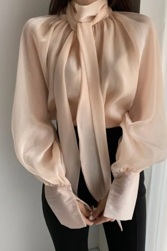 

2021 spring new ladies' tops, ladies see-through tops, long-sleeved high-necked bow-knot shirts, fashionable and elegant sexy pa