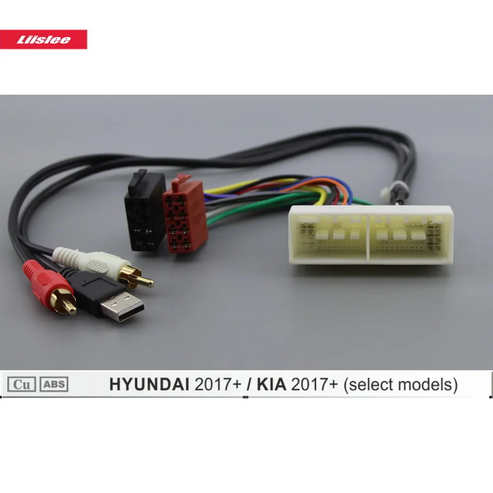DIN ISO Жгут адаптер для KIA Sportage/Sorento/Telluride автомобильный завод радио 81 штырь Мужской