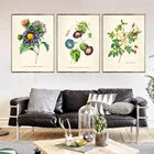 Французский ботанический коллаж, цветочный принт, набор из 3 домашних настенных картин, художественный принт, Декор, картина, Постер без рамки, картина