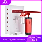 Увлажнитель воздуха и аэрограф, мини-компрессор для лица, зарядка через USB