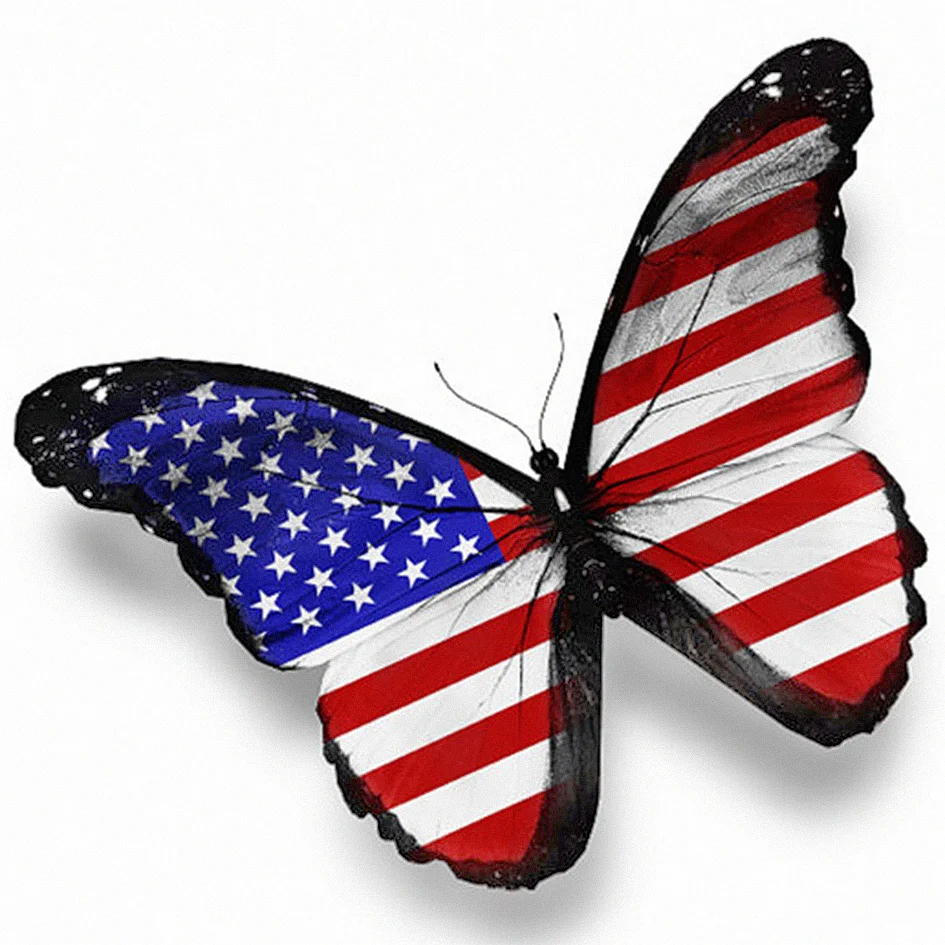 

New 5d diy Diamond embroidery American flag Butterfly diamond painting Cross Stitch full circular Rhinestone mosaic decoration