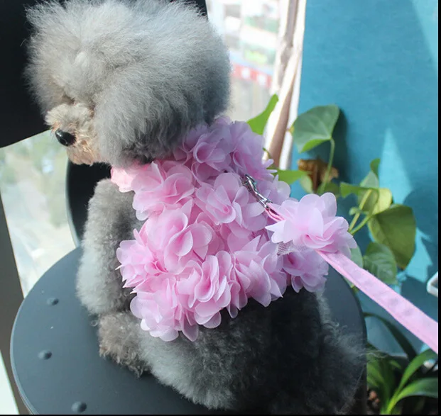 

Three-Dimensional Flower Hand Holding Rope Dog Cat Pet Hand Holding Rope Beautiful Flower Spring and Summer Breathable