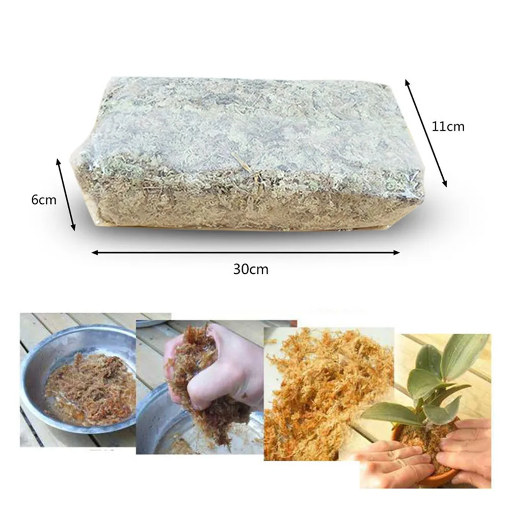 

12L Sphagnum Moss Moss Sphagnum Nutrition Organic Fertilizer For Orchid Phalaenopsis Musgo Sphagnum Flower Garden Supplies