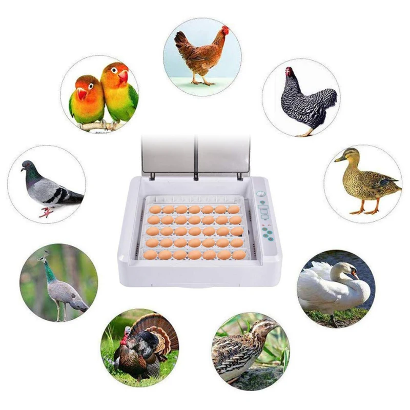 

36 Egg Incubators Automatic Egg Incubator Poultry Hatcher Digital LED Display Temperature Control Automatic Turning With Light