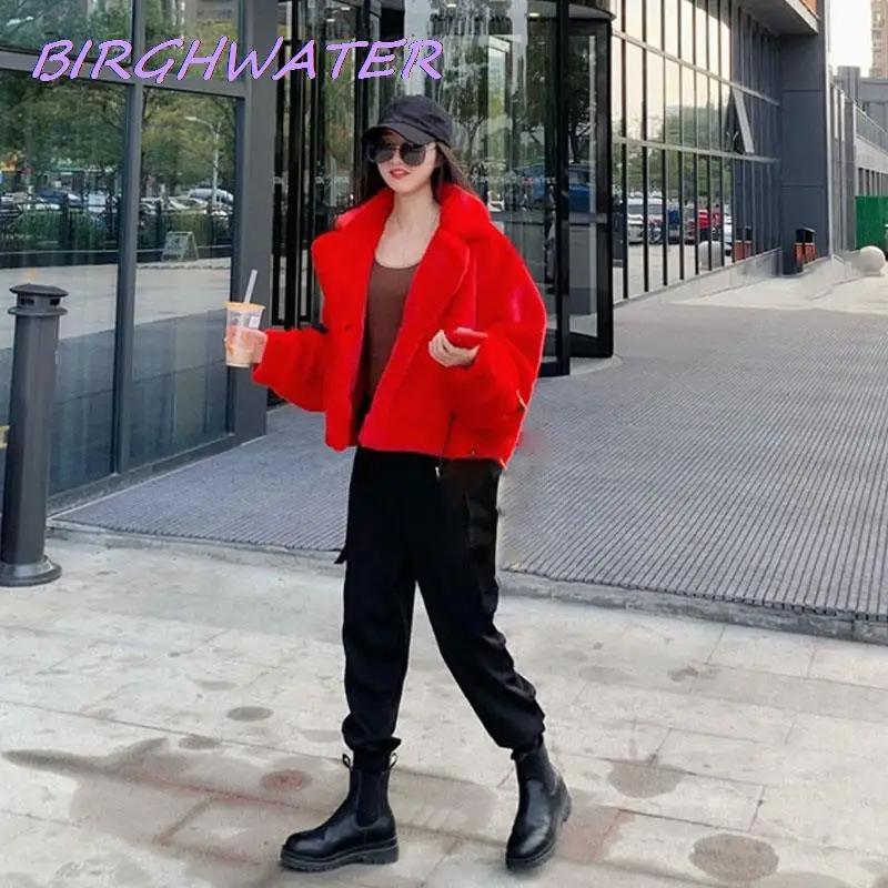 Korean Mink Fur Coats Womens Fashion Casual Solid Turndown Collar Short Faux Fur Jackets Winter Loose Warm Coat Female