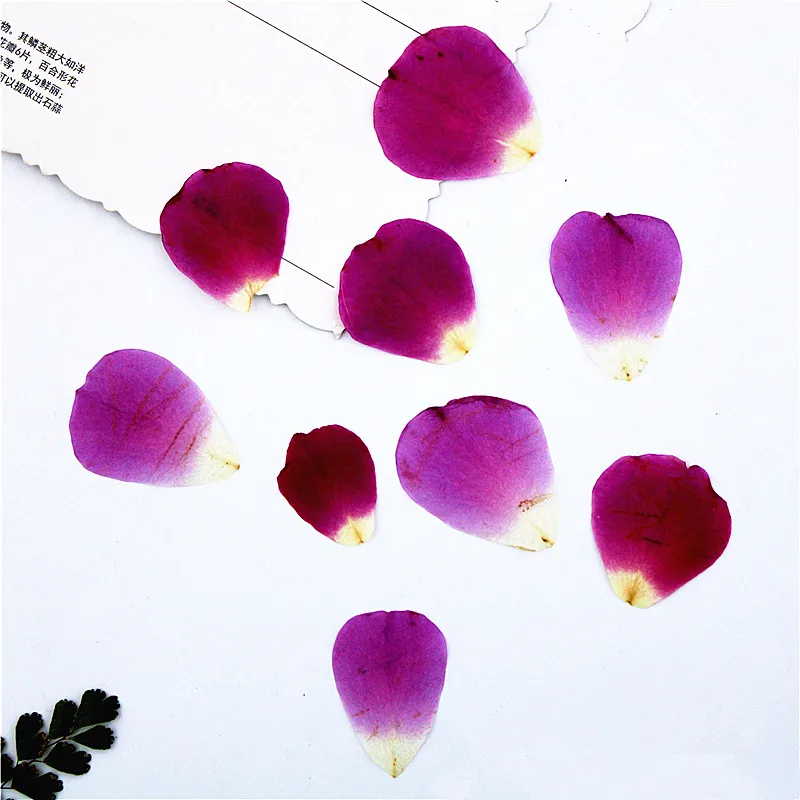 1 5 см/20 шт настоящие лепестки цветов прессованные для DIY свечей подарочная карта