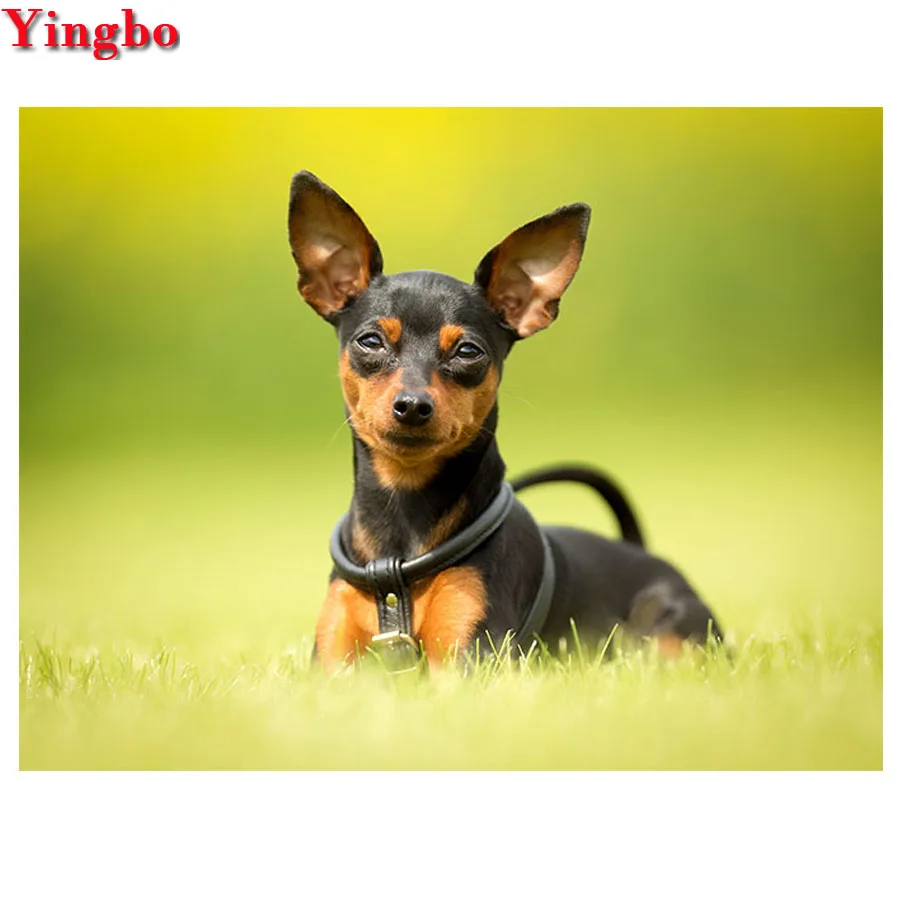 

Набор для алмазной вышивки pinscher, миниатюрная мозаика 5d «сделай сам» с собакой