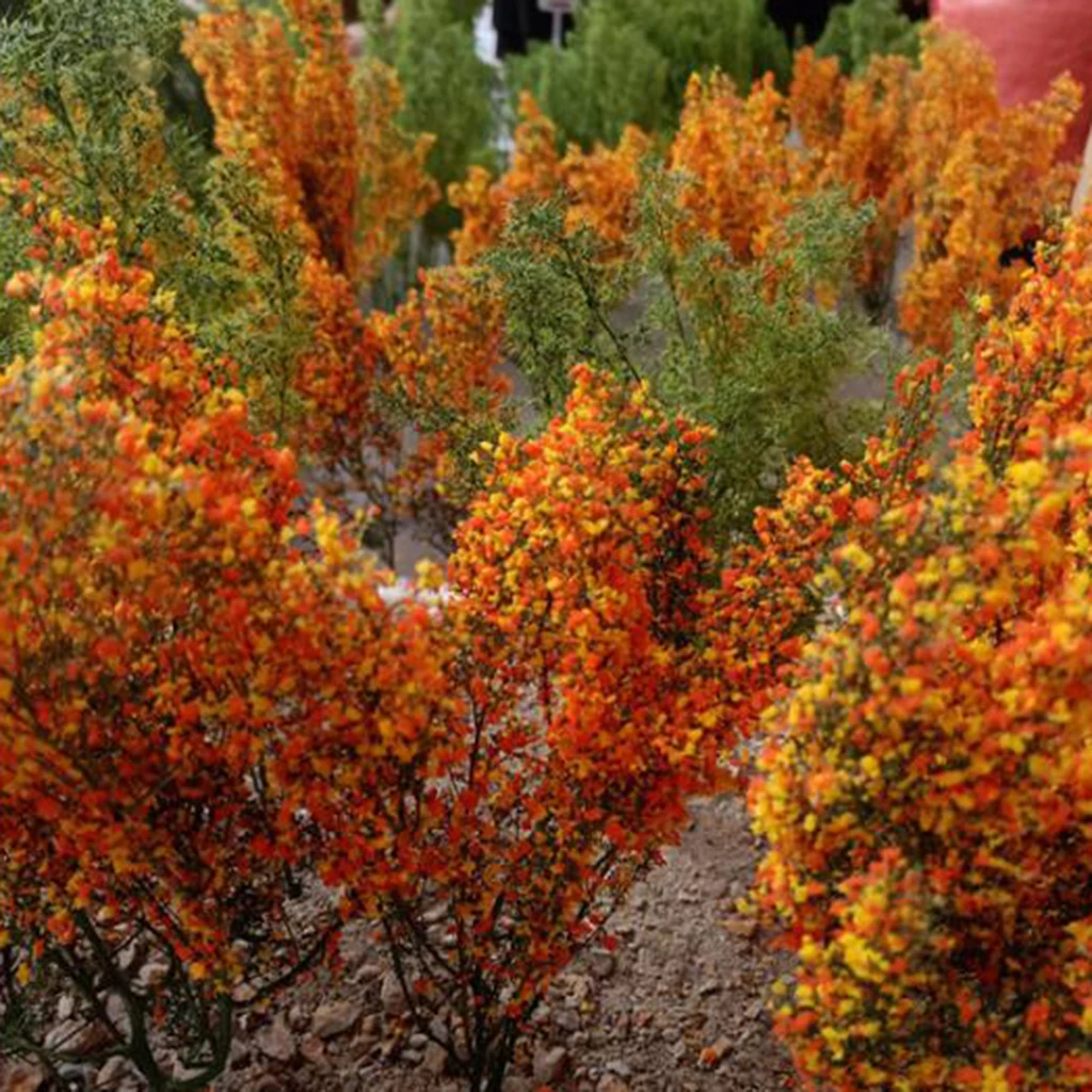 

Resin Model Trees 25cm Height, Fall Trees Models, Model Train Scenery,