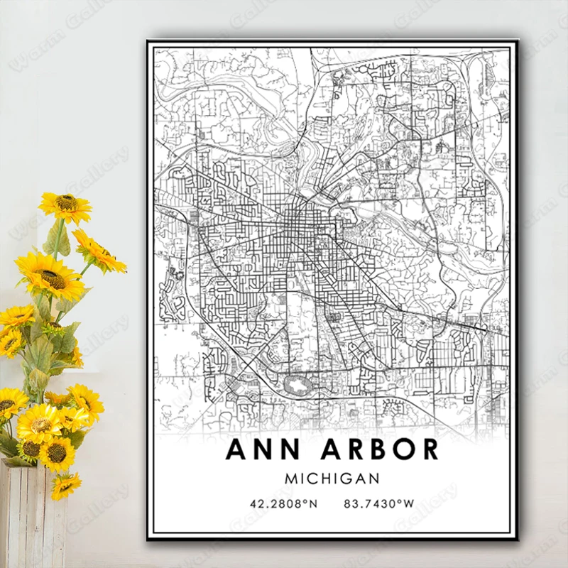 Мичиган Энн Арбор Карта города плакат карта печать женская черно-белая Настенная