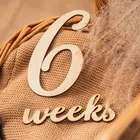 19 шт.лот карты для новорожденных, деревянные этапы фотографии, памятные ежемесячные аксессуары для новорожденных