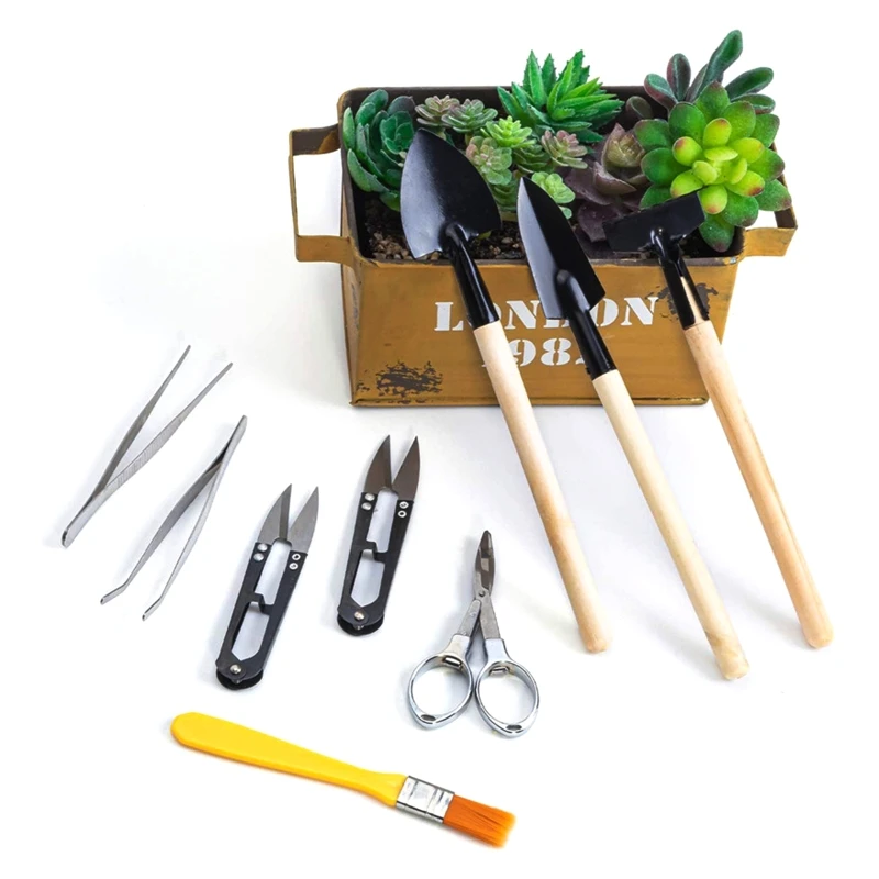 Набор инструментов для посадки суккулентов миниатюрный садовый набор бонсай