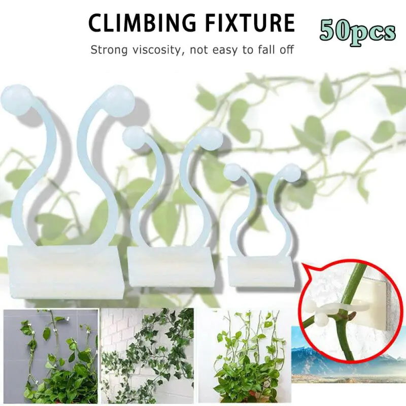 

10/20/50 шт., Невидимые Зажимы для растений