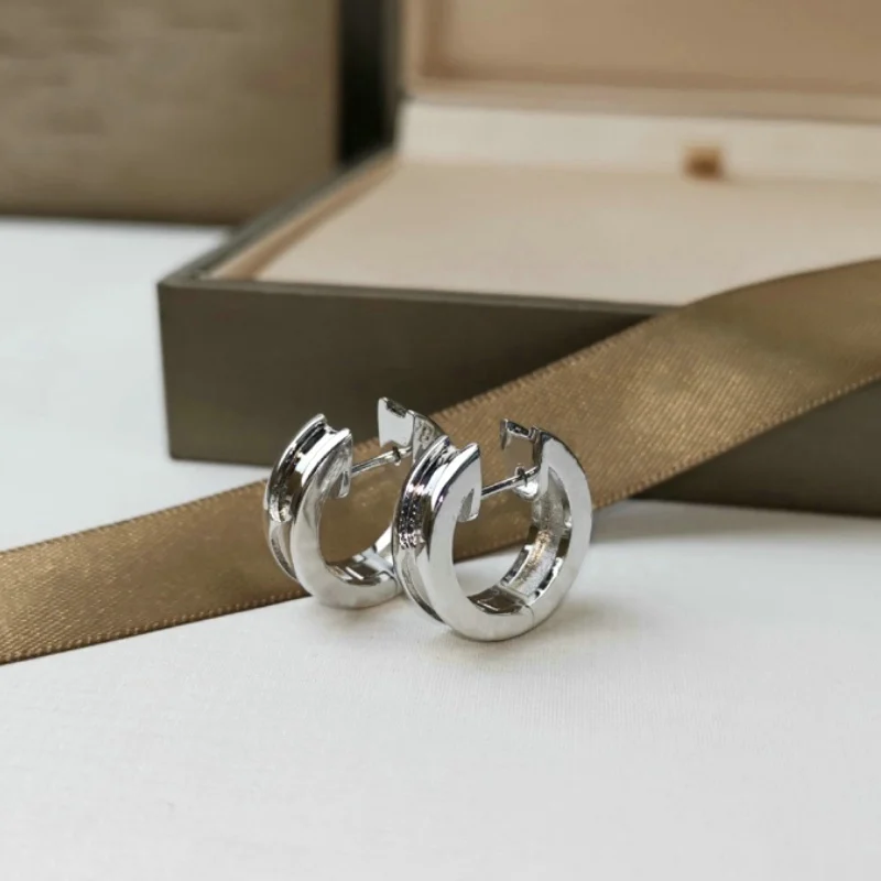 

Sliver earrings 2021 trend luxury Woman earring elegant Hoop earrings Golden Women jewelry Hoops earrings for women Couples gift