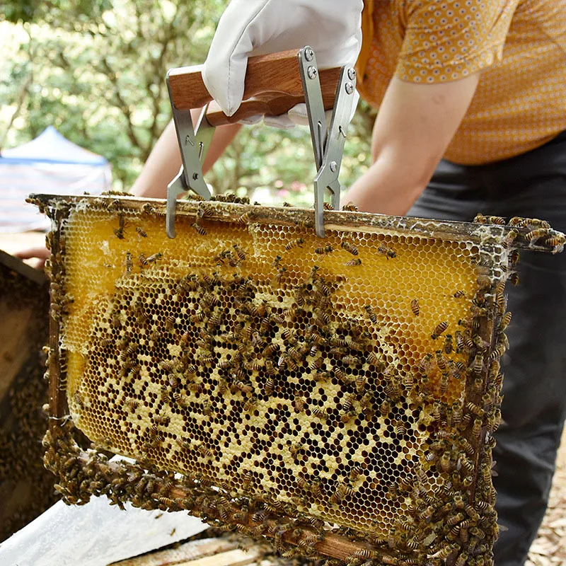 Новая деревянная ручка зажим для селезенки из нержавеющей стали твердая рамка