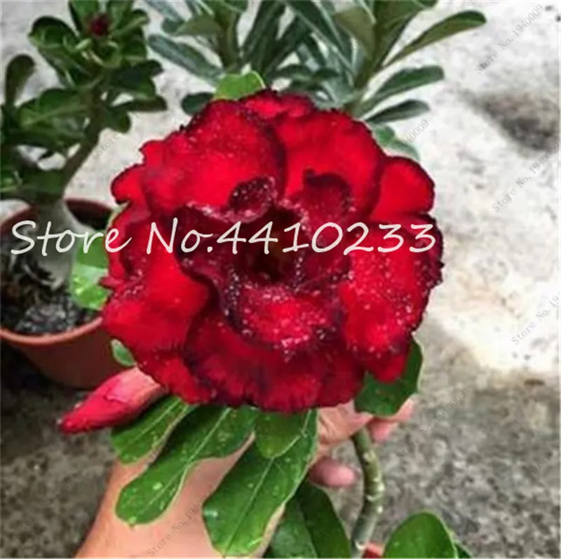 5 шт. искусственный цветок |