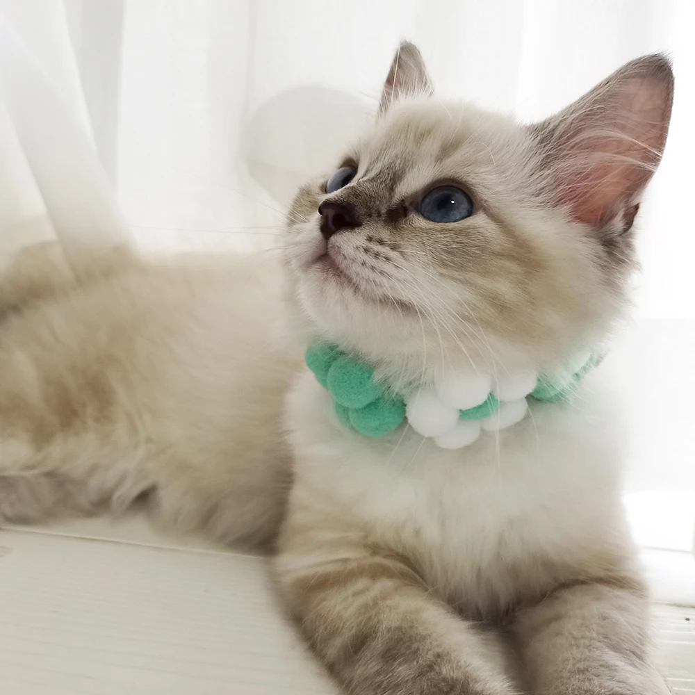 

Engraved Handmade Cat Costumes Choker Sweet Colorful Dog Kitten Scarf Customized Cat Accessories Neckerchief Pet Items Poodle