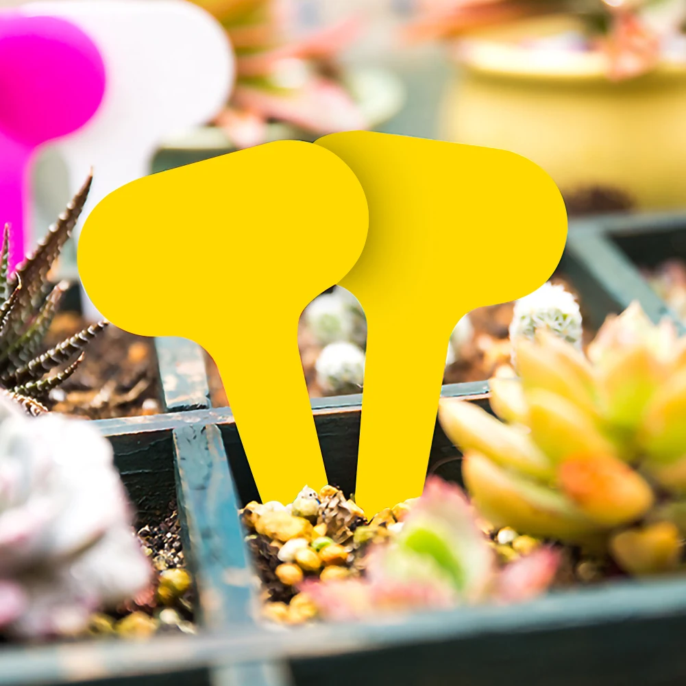 

100pcs Gardening Plant Label Waterproof Plant Markers Plastic Insert Ground Card T-shaped Plant Lables Graines A Planter