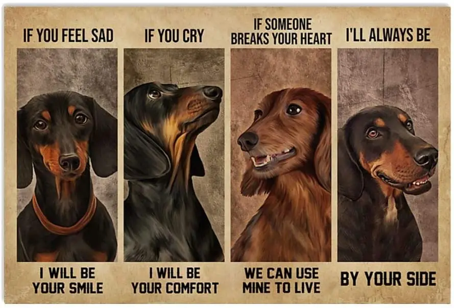 

Dachshund Dog Sign Rules Vintage Rusty Metal Sign 12" X 8" Wall Decor for Bars,Restaurants,Cafes Pubs