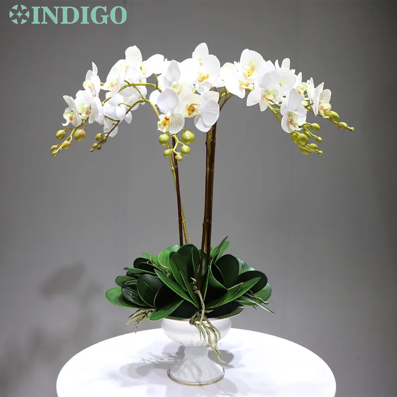 Индиго белые орхидеи фаленопсис сделай сам цветок Аранжировка с горшком