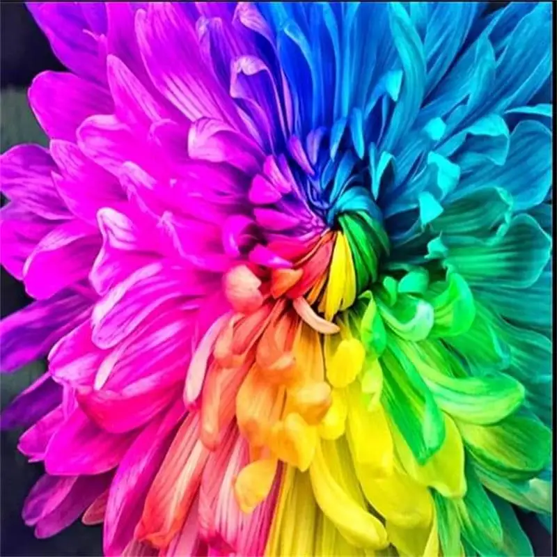 

5D DIY Diamond Painting Colorful Flower Full Diamond Embroidery Sunflower Cross Stitch Kit Rhinestones Mosaic Home Decor Crafts