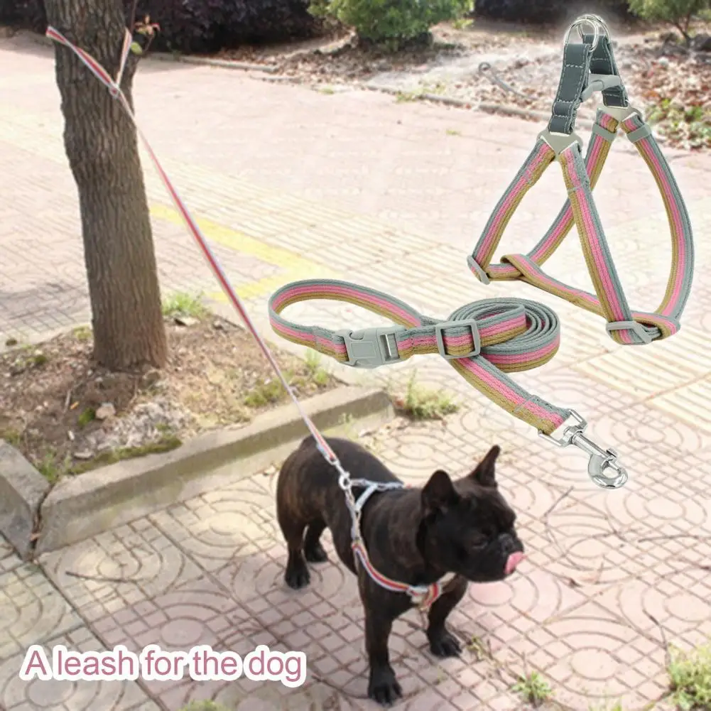 

User-friendly Polyester Cotton Pet Harness Vest Leash Set for Walking