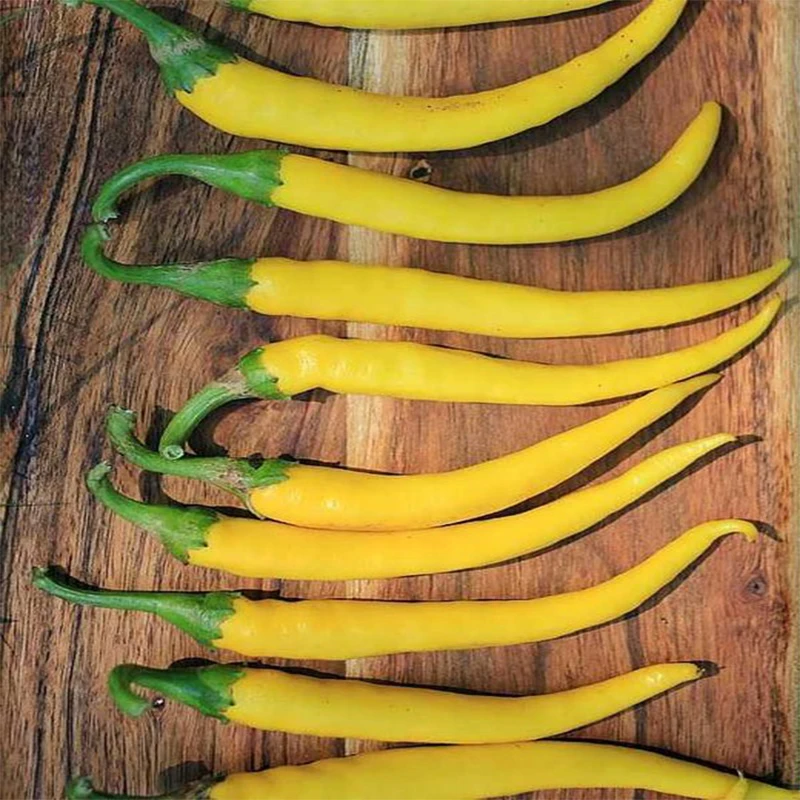 СЕМЕНА Перец острый Венгерский жёлтый 10 ШТ | Дом и сад | АлиЭкспресс