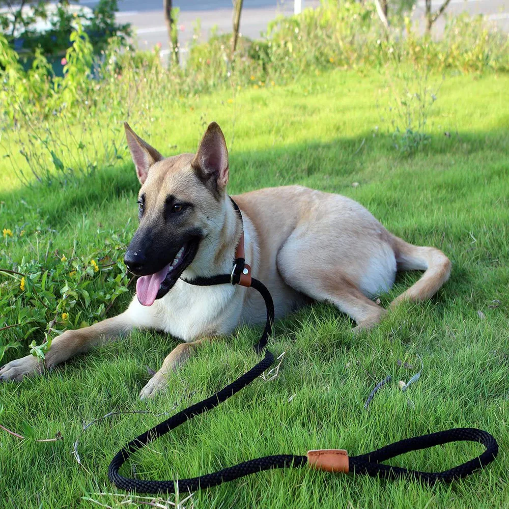 Прочный Нейлоновый Регулируемый тренировочный поводок для собак 6 футов | Дом и