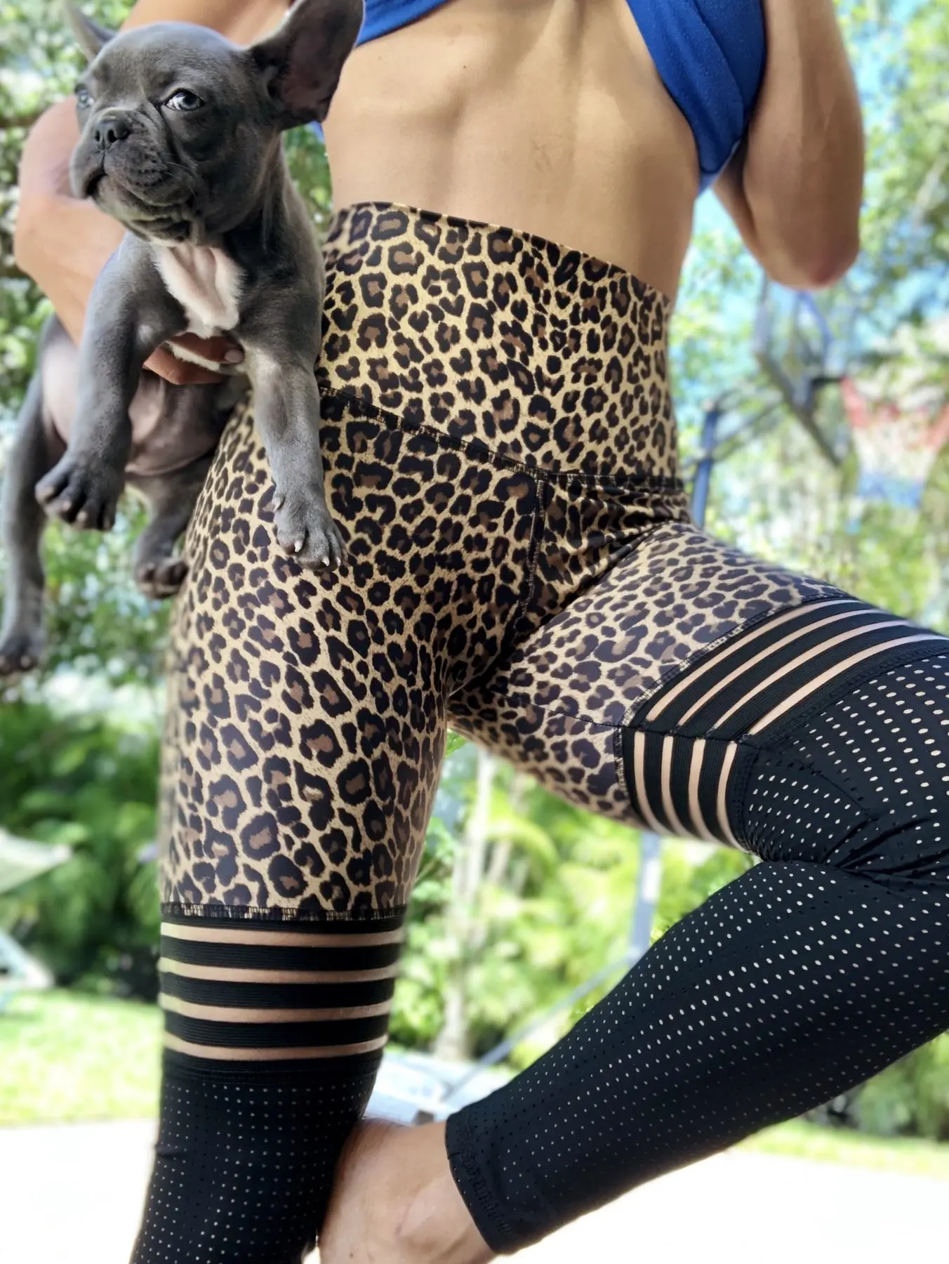 Сексуальные леопардовые тонкие спортивные сетчатые штаны с высокой талией