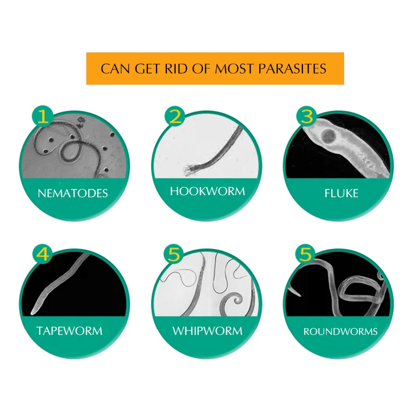 CHZK антигельминтическое тело для домашних животных кошек кишечника