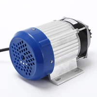 24 v 60 v 48 v 800 w tricycle conversion motor brushless speed of motor can be customized