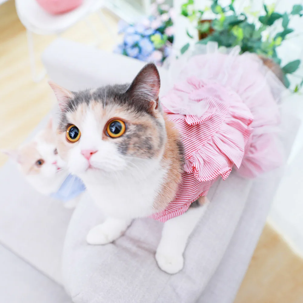 Костюм для домашних животных свадебная одежда кошек домашняя котят