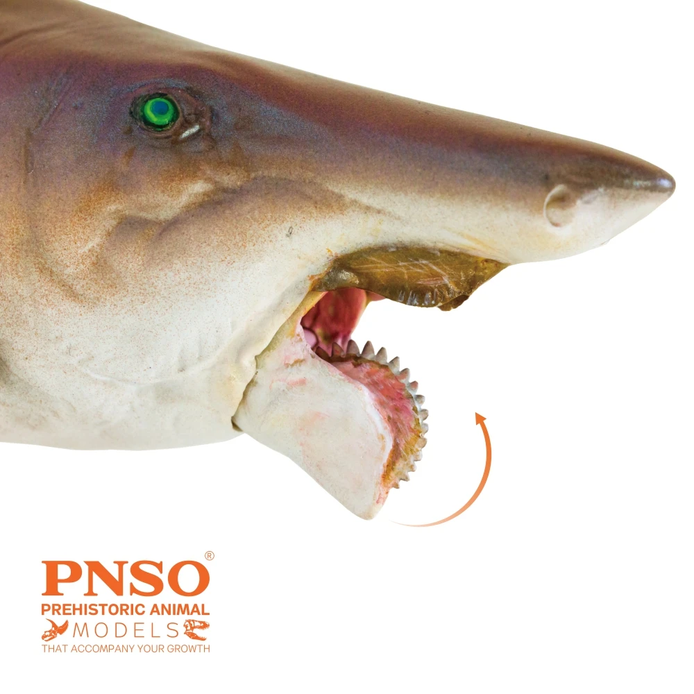PNSO-dinosaurio prehistorico, modelos: 43, Haylee, helic&oacute;ptero-3