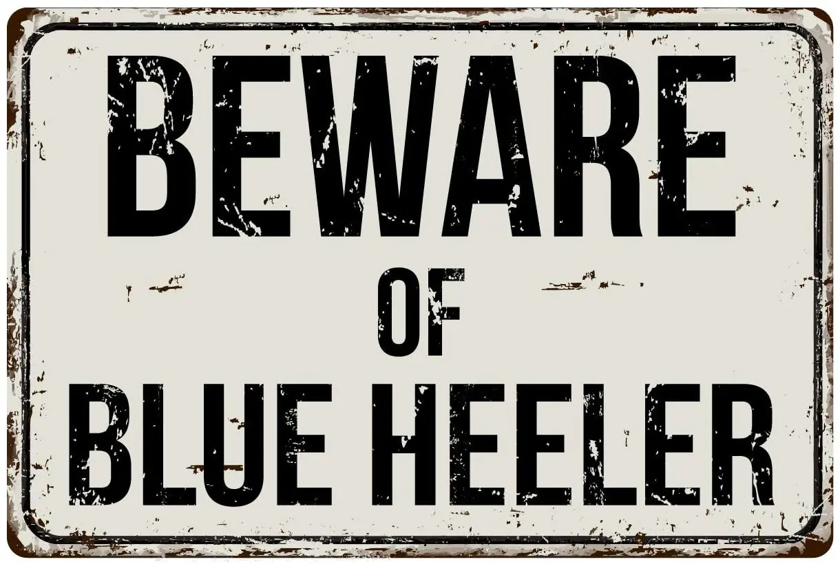 

81VS Beware of Blue Heeler 8 x 12 Vintage Aluminum Retro Metal Sign