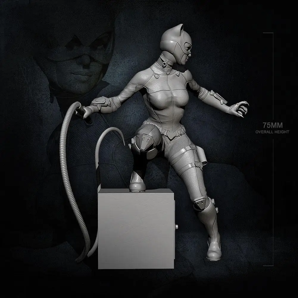 

75mm Resin model kits figures toy self-assembled TD-2461 I3K3