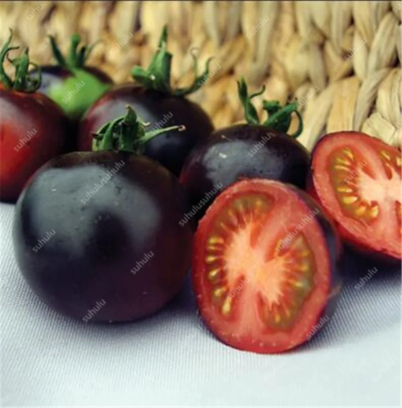 200 шт искусственных томатов |