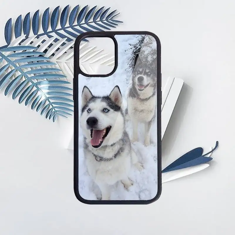 

Alaskan Malamute Siberian husky dog Phone Case for iPhone 11 12 pro XS MAX 8 7 6 6S Plus X 5S SE 2020 XR Hard PC