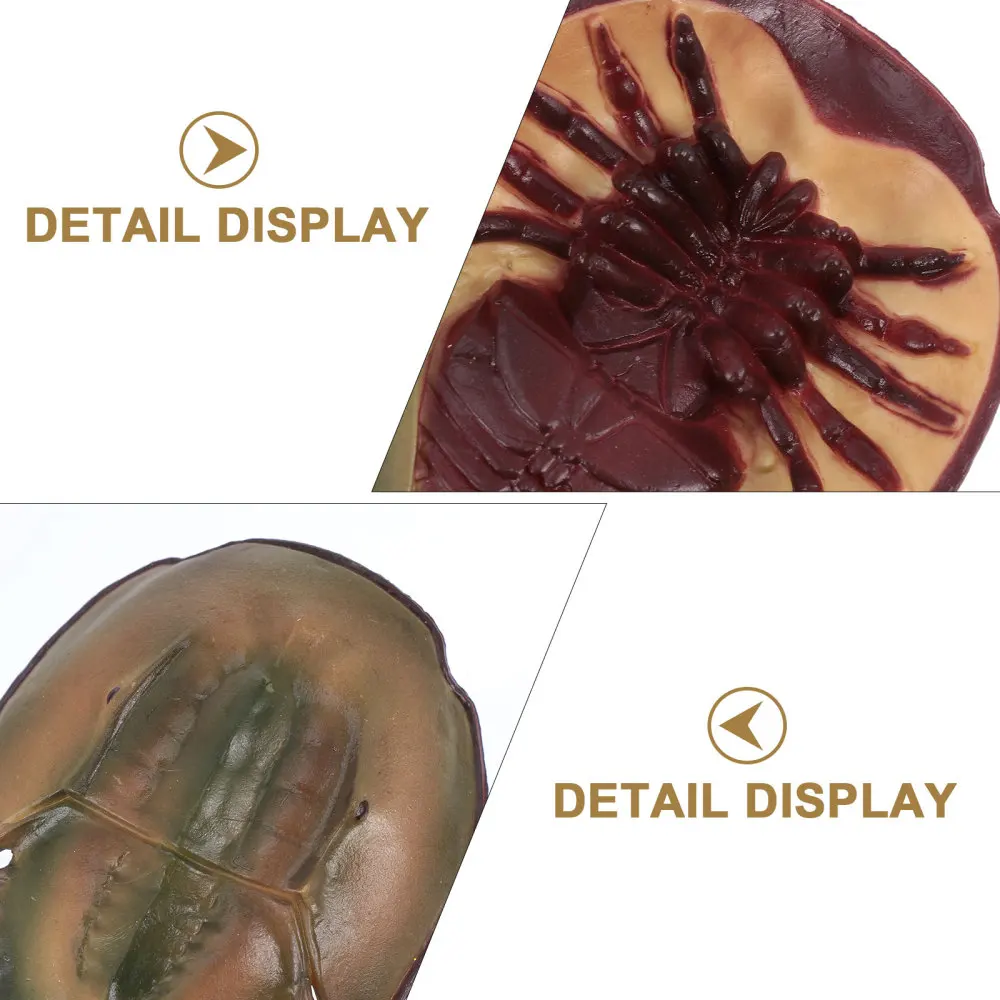 

1Set Creative Animal Model Decor Funny Animal Growth Model Early Learning Model