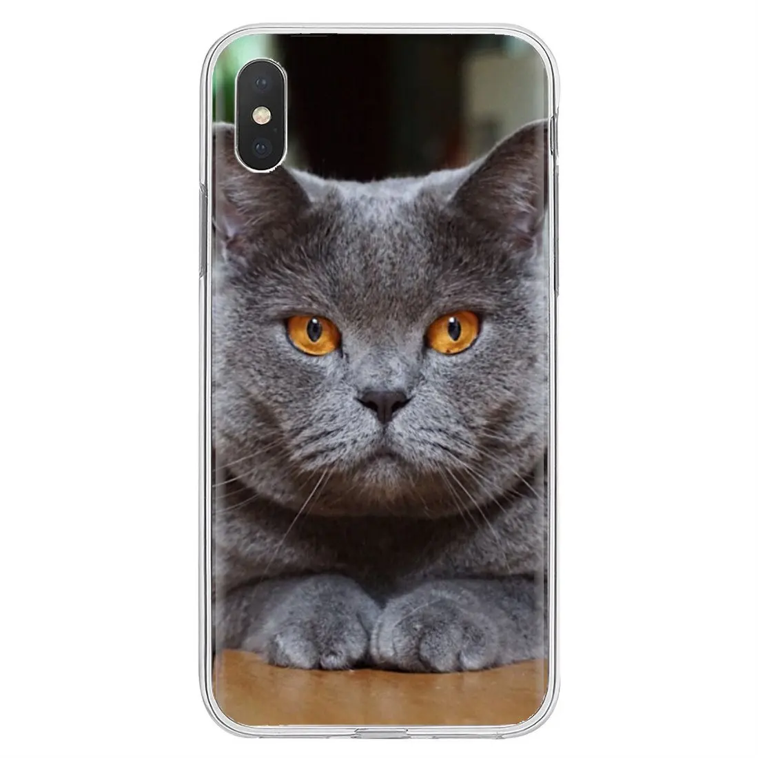 Британский короткий Кот для Samsung Galaxy A3 A5 A7 A9 A8 Star Lite A6 Plus 2018 2015 2016 2017 вдохновляющий