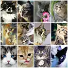 AZQSD алмазная вышивка кошка рукоделие крестиком алмазная мозаика животное картина стразами декор для дома