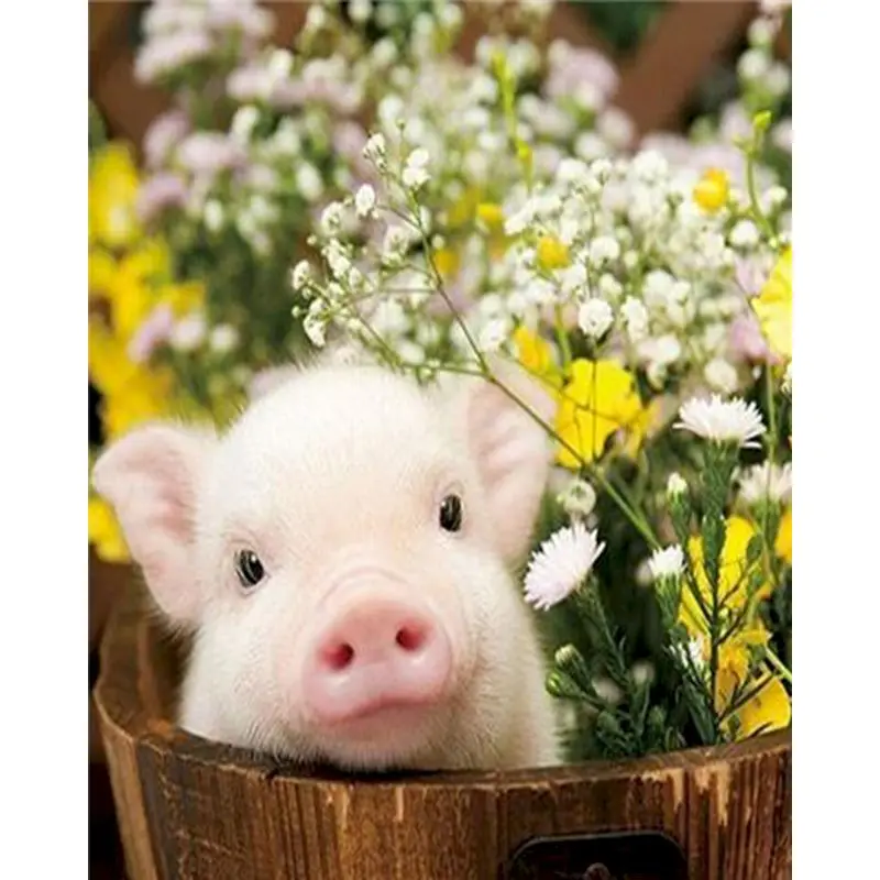 

GATYZTORY 60x75cm DIY Painting By Numbers Pig Coloring Zero Basis Animal HandPainted Oil Painting Unique Gift Home Decor