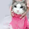 Изображение товара 4