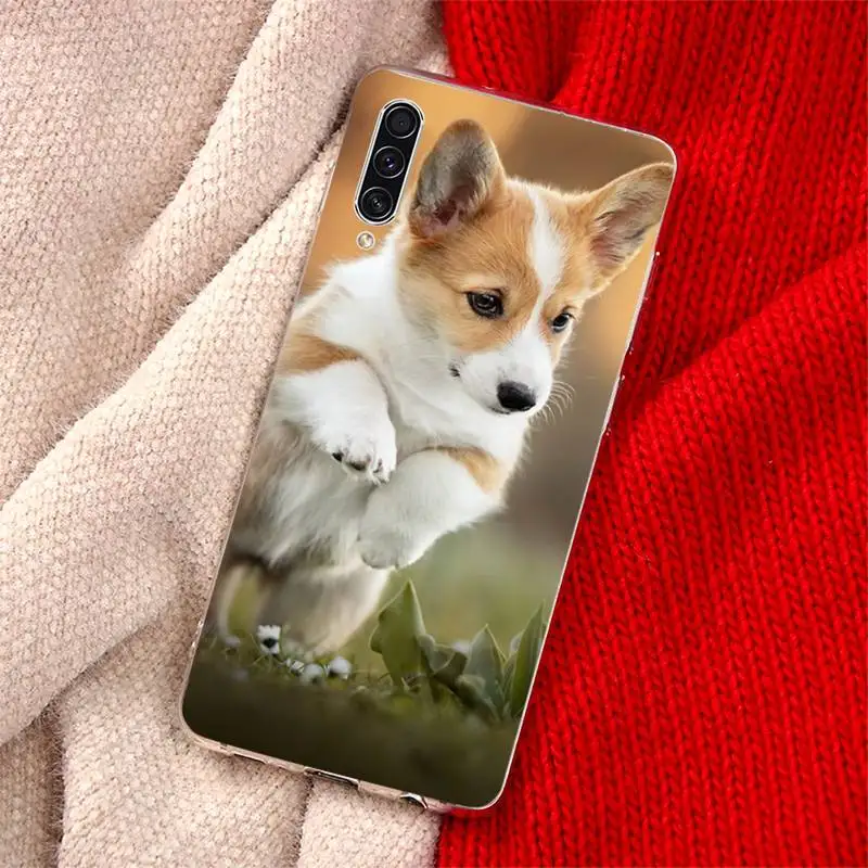 

Funny Cute Dog Corgi Phone Case For Samsung Galaxy S5 S6 S7 S8 S9 S10 S10e S20 edge plus lite