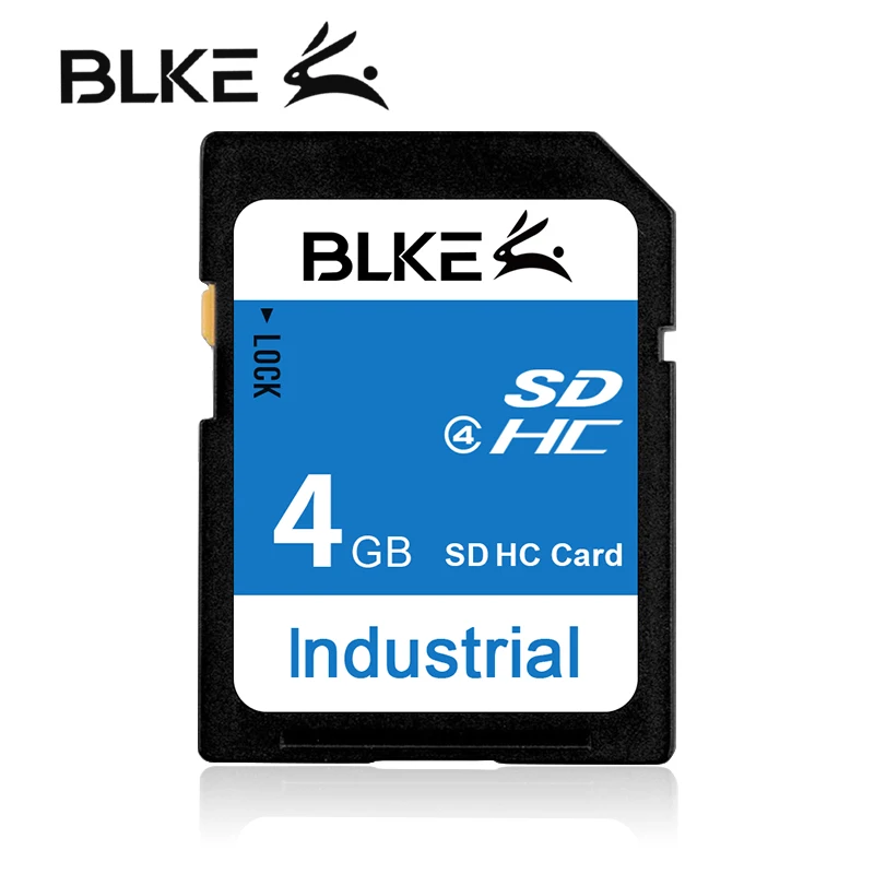 SD 4GB BLKE SD карта 128MB 256MB 512MB 1GB 2GB 4GB 8GB карта памяти для Mitsubishi M80 рекламная машина 3D принтер ЧПУ Цифровая камера - Емкость: SD 4GB