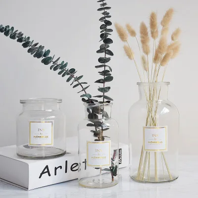 Набор прозрачных стеклянных декоративных ваз для гидропоники | Дом и сад