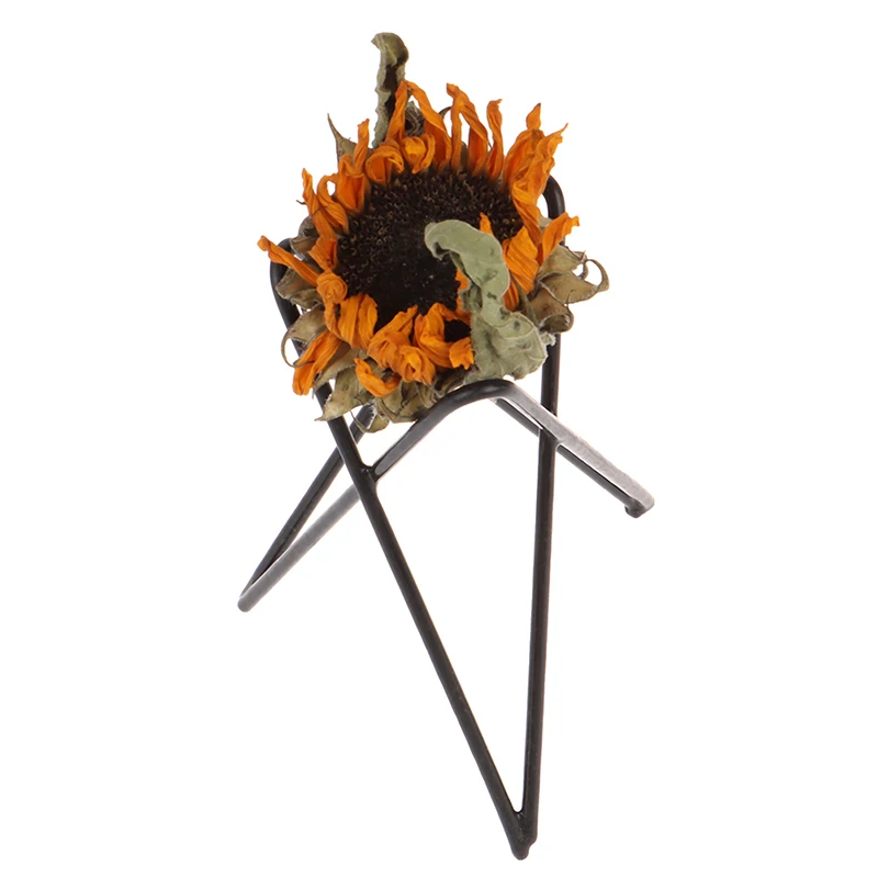 

Home Iron Indoor Creative Black And White Bracket Desktop Purification Green Potted Plants