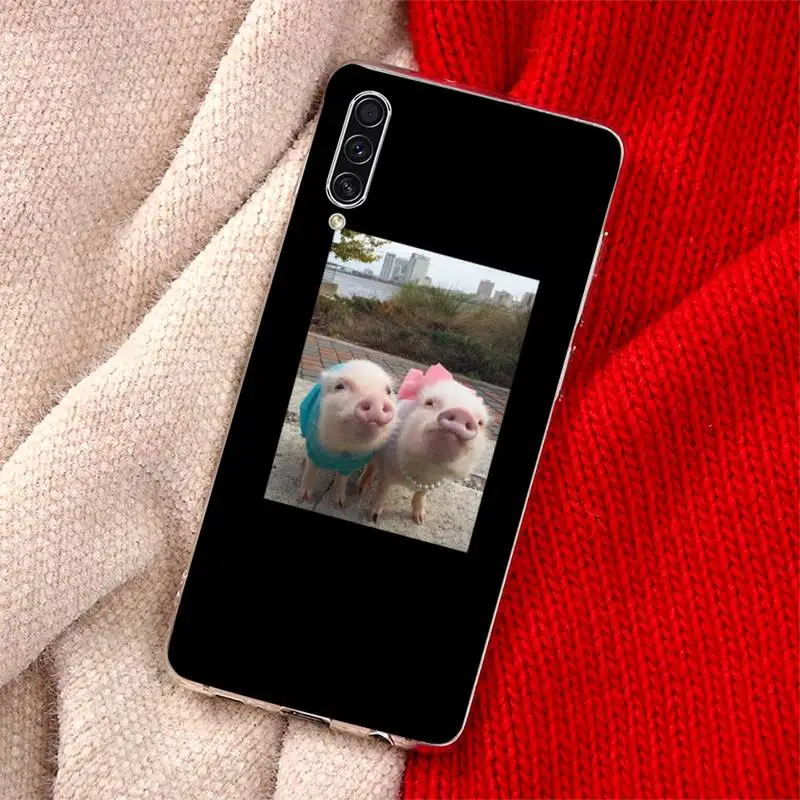 

Funny Cartoon Pig animal Phone Case For Samsung Galaxy S5 S6 S7 S8 S9 S10 S10e S20 edge plus lite