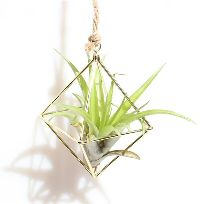 

4Pcs Freestanding Hanging Planters Geometric Wrought Iron Tillandsia Air Plants Holder Triangular Shaped Metal Rack
