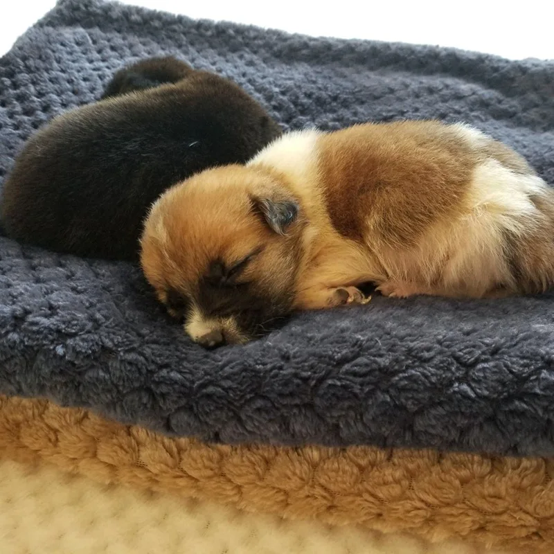 Мягкое одеяло для домашних животных зимняя кровать собак и кошек сетчатый теплый